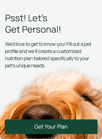 Pet Quiz CTA